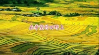 广场舞《在希望的田野上》
