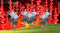 广场舞《一个家一个妈》情深意又长