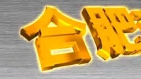 庐剧《超生游击队》1至2总四集