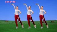 广场舞《你能不能不要离开我》32步附分解