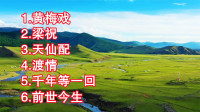 黄梅戏《梁祝》《天仙配》《渡情》《千年等