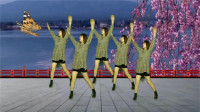 全民广场舞《中国范儿》入门基础步 适合所