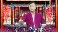 湖南花鼓戏 《野菊花开满坡》
