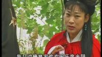 大鼓书《断臂姻缘》 (1)