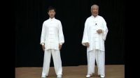 杨振铎大师杨氏太极拳103式教学（上集）