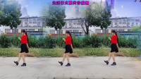 舞动青春广场舞《今夜想喝醉》简单好学
