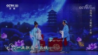 黄梅戏《天仙配》选段 袁媛饰七仙女 赵章伟