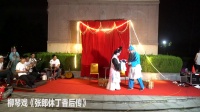 柳琴戏《张郎休妻后传》