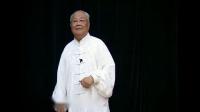 杨振铎大师杨氏太极拳103式教学（下集）下载