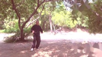 《杨式太极拳85式》王海云演练下载