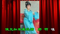字幕 川剧《访友》下载