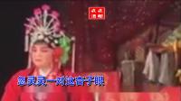 豫剧《烧柴王》夸美人 伴奏下载