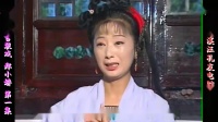 庐剧《郑小娇》宽屏版 1