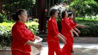 广场舞《最美的歌儿唱给妈妈》