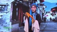 传统扬剧 《狸猫换太子》 落陈州