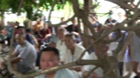 大平调《李彦龙征南》濮阳龙乡大平调艺术团