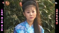 庐剧《郑小娇》宽屏版 2下载