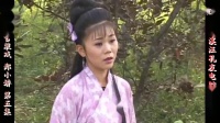 庐剧《郑小娇》宽屏版 5下载
