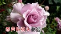 晋剧伴奏《游西湖》李慧娘含冤死悲愤满腔下载