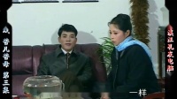 庐剧现代戏《苦儿苦母》宽屏版 3