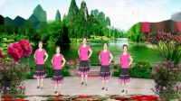 浪漫人生广场舞《芦花美》