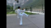 杨式太极 拳1至72式下载