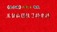 秦腔《金沙滩》选段（五台山困住了杨老将）下载