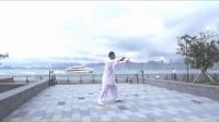 香港传拳时演练武式太极拳108势下载