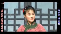 庐剧《啼笑姻缘》宽屏欣赏版
