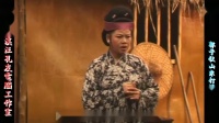 庐剧《郭子仪山东打擂》宽屏版 2