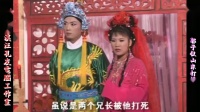 庐剧《郭子仪山东打擂》宽屏版 5