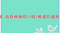 淮剧《杨家将》第二场《庆寿》第三场《夜思