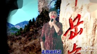豫剧选段《当警察二十年我处处护着你》