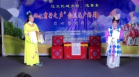 扬剧《玉蜻蜓》选场《庵堂认母》