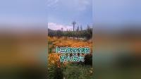 秦腔伴奏《清风亭奴才全将良心丧》