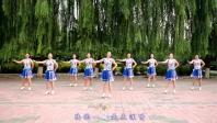 云裳广场舞《独爱一枝花》