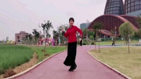 辣妈红莲广场舞《火恋》下载