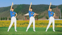 中老年健身操《太想念》扭腰收腹 早晚30分钟 减压减肥效果好下载