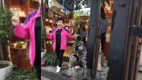 淮剧《打金枝劝婿》选段
