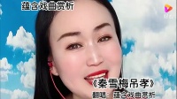 豫剧《秦雪梅吊孝》哭灵片段 演绎的淋漓尽