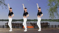 燕子广场舞教学 《天蓝蓝》土嗨味儿流行舞下载