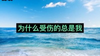 为什么受伤的总是我