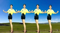 阿采原创广场舞《想你时候问月亮》超火64步减肚子瘦腿下载