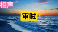 审贼