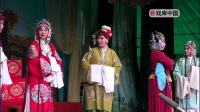 河南豫剧《花大朝》上集