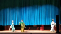 婺剧《狸猫换太子》之李妃告御状大团圆结局片段下载