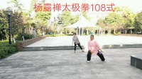 杨露禅太极拳108式下载