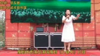 豫剧《风雨故园》片段