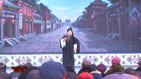 越调《王子龙私访》全场戏之四 唐河县心联