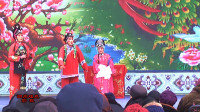 越调《王子龙私访》全场戏之五 唐河县心联